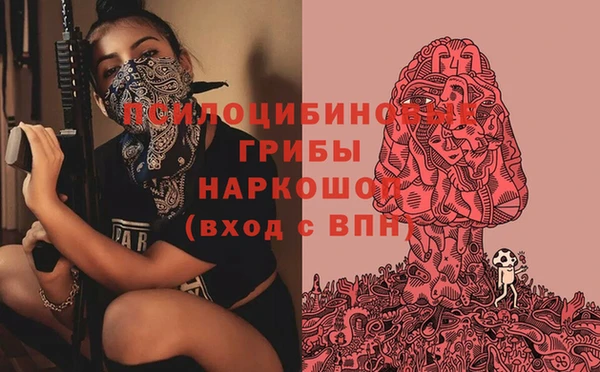 хмурый Балабаново