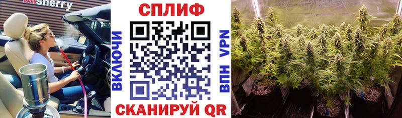 Бошки Шишки гибрид  Вятские Поляны 
